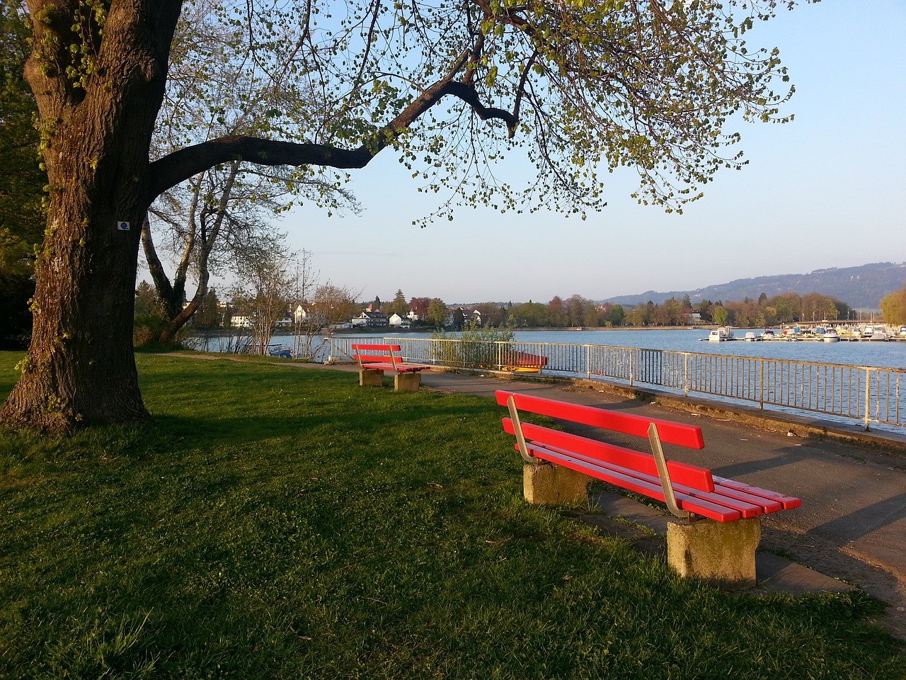 信地在英超 信地在英超