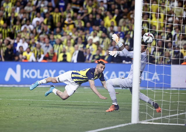 不知不觉，这只灰熊重新站起来了.