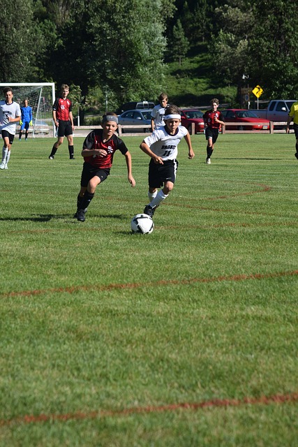 术可谓炉火 术可谓炉火