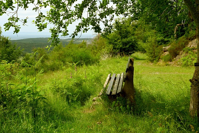 詹东在，雷迪克的问题不再是困扰，季后赛表现仍待观察.